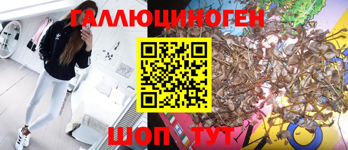 Псилоцибиновые грибы мухоморы  Псилоцибиновые грибы мухоморы  Вход с VPN  Кинешма 