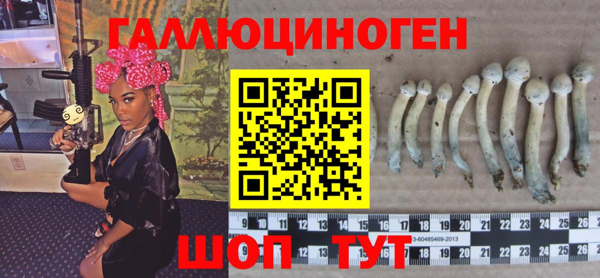 Галлюциногенные грибы MAGIC MUSHROOMS Кинешма